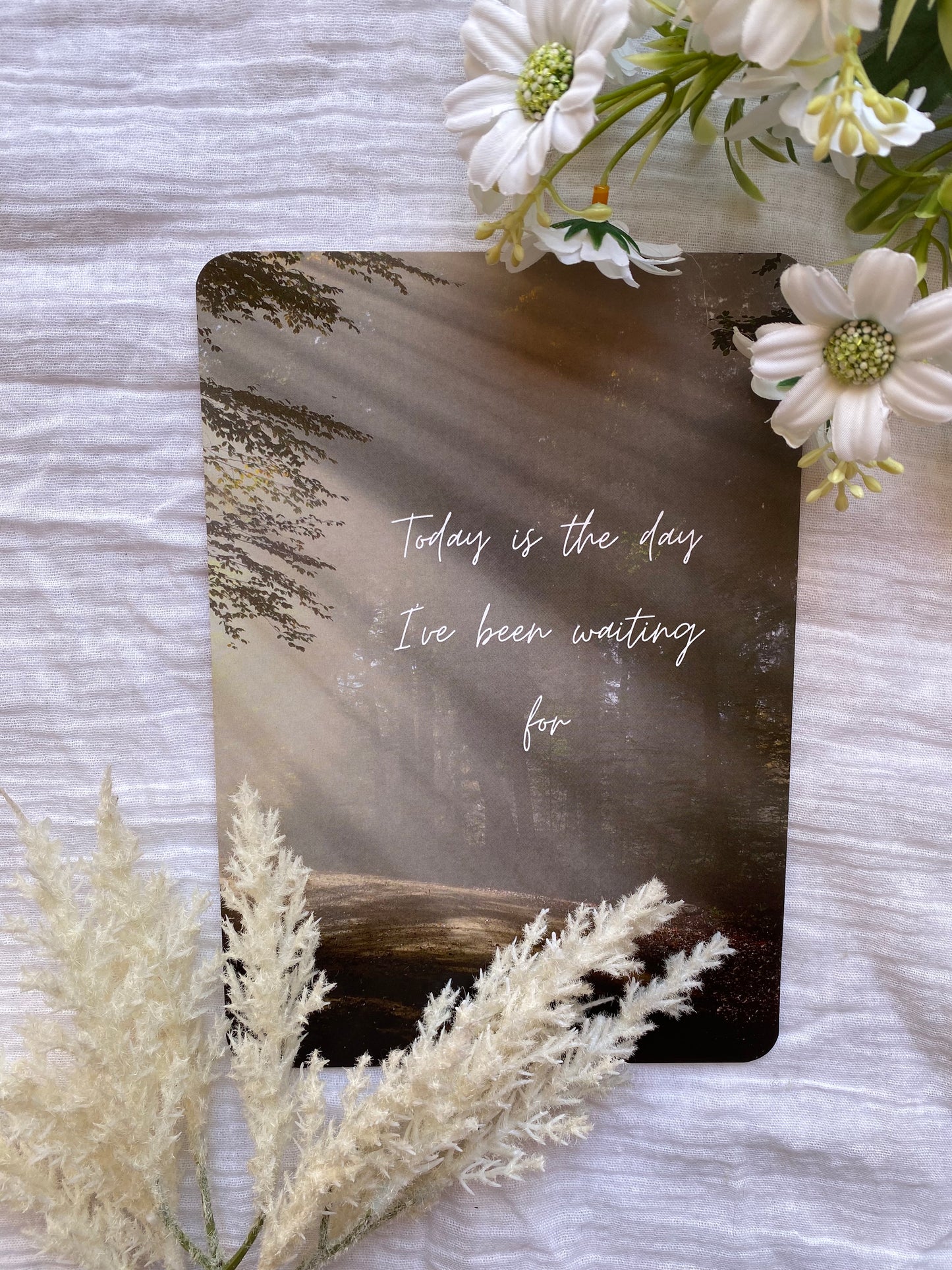 Nature Affirmation Set