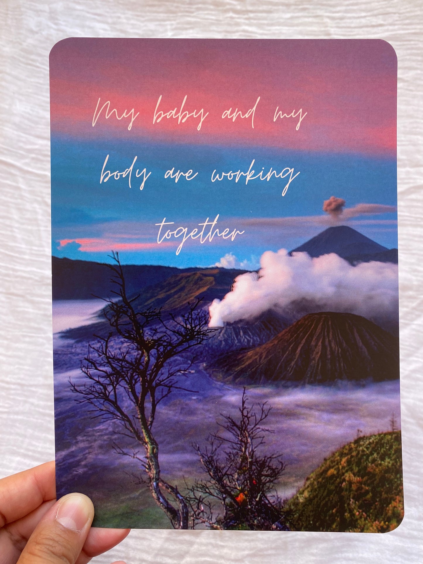 Nature Affirmation Set